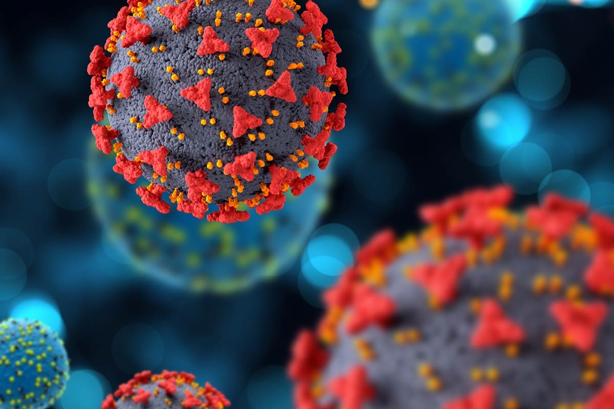 Distributing Groceries to Security Guards During the Covid Period