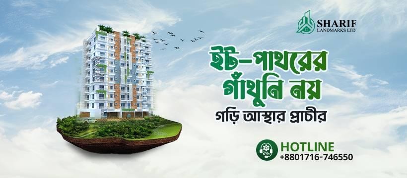 Mahamudul Hasan cover